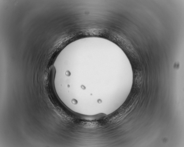 X0000098090548200805021048