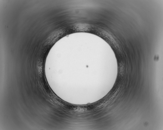 X0000098090549200805021048