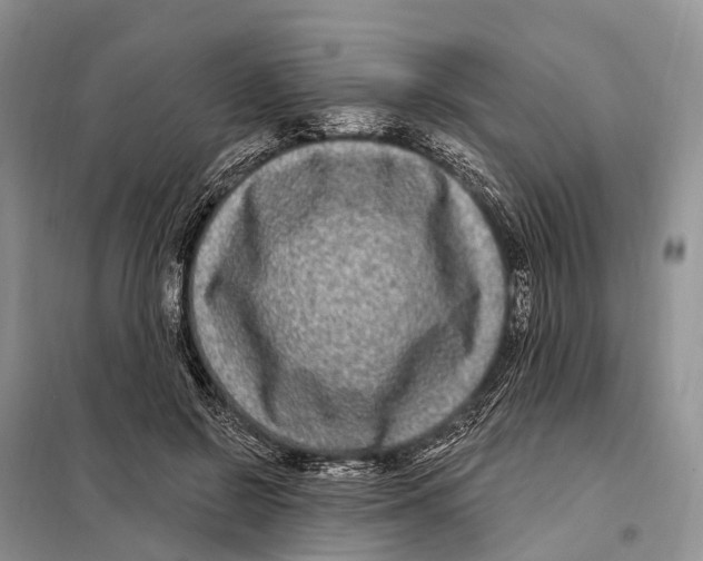 X0000098090550200805021048