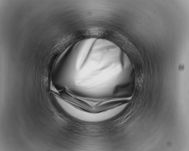 X0000098090552200805021048