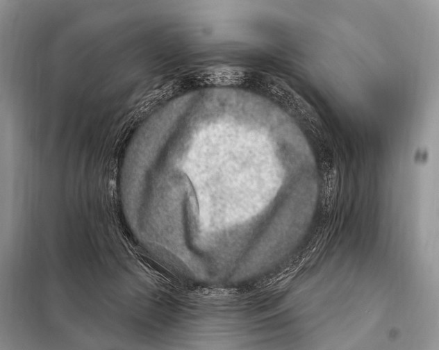 X0000098090553200805021048