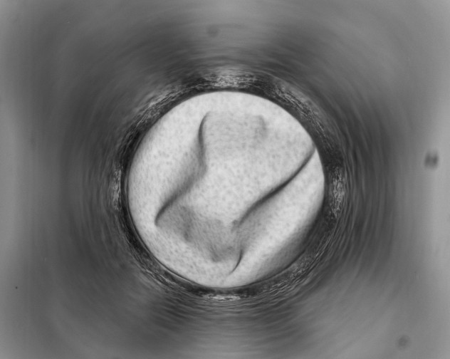 X0000098090554200805021048