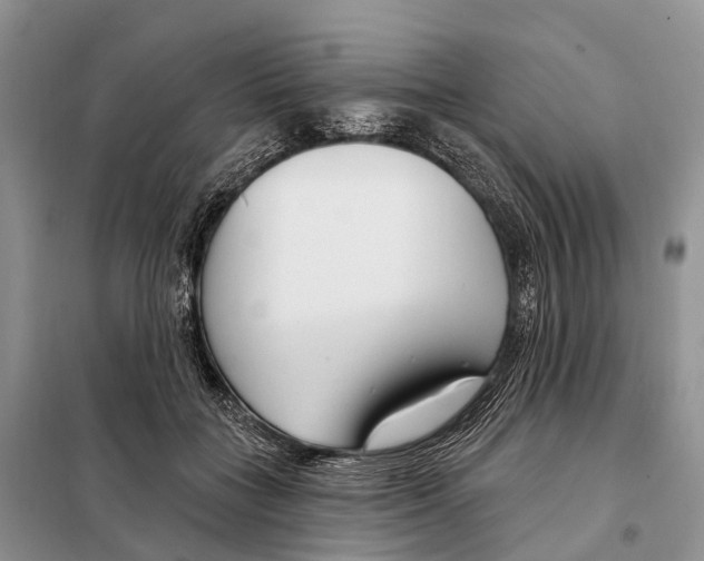 X0000098090555200805021048