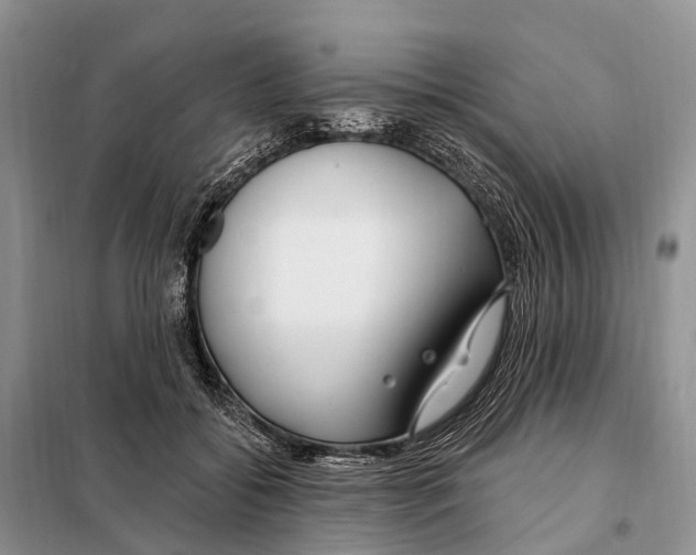 X0000098090556200805021048