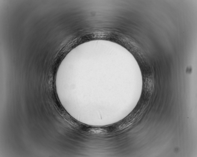 X0000098090557200805021048