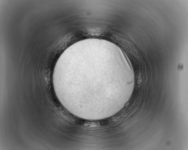 X0000098090559200805021048