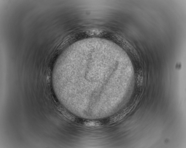 X0000098090561200805021048