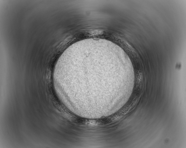 X0000098090565200805021048