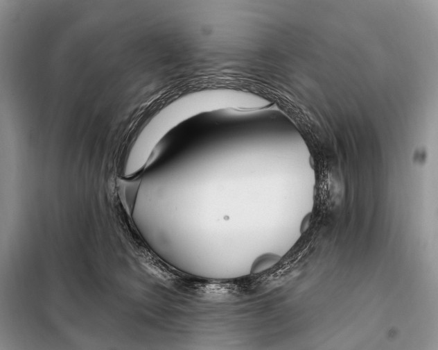 X0000098090566200805021048