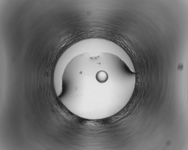 X0000098090568200805021048