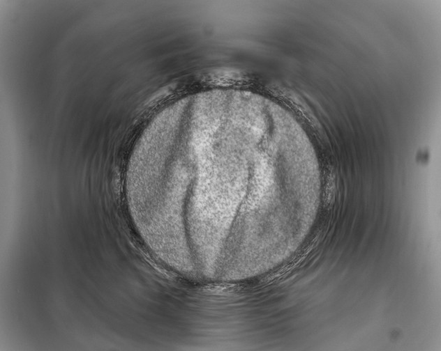 X0000098090569200805021048