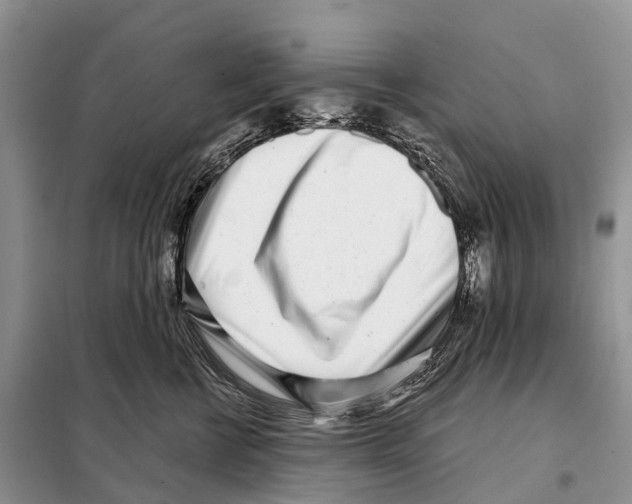 X0000098090570200805021048