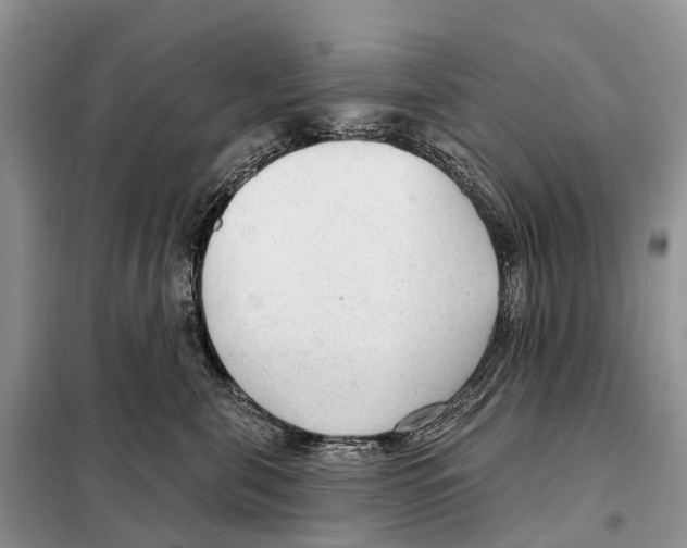 X0000098090571200805021048