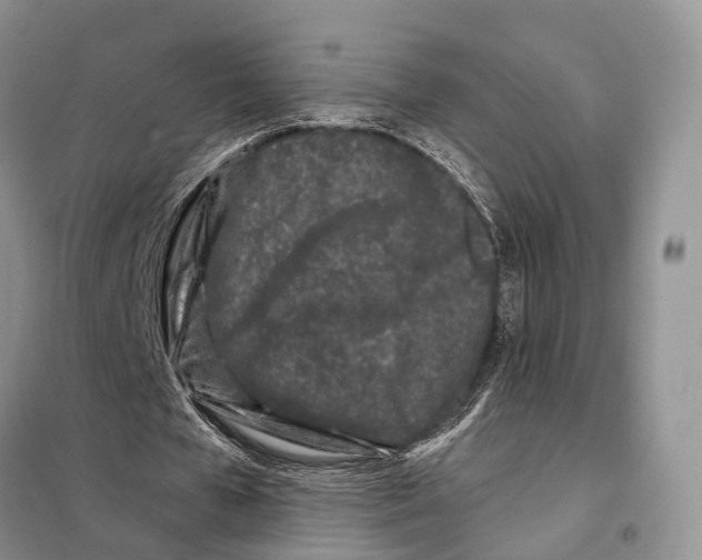 X0000098090577200805021048