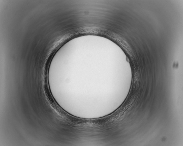 X0000098090578200805021048