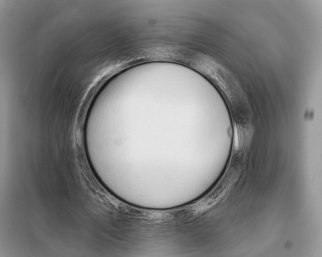 X0000098090579200805021048