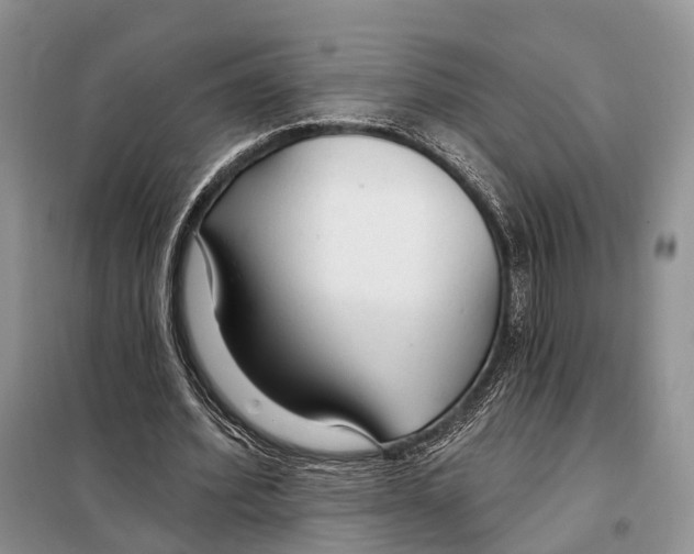 X0000098090580200805021048