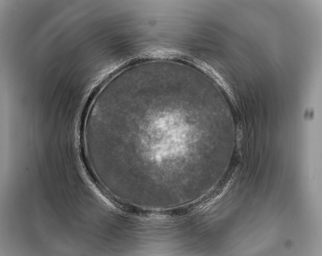 X0000098090581200805021048