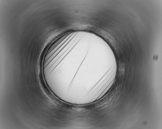 X0000098090582200805021048