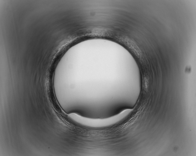 X0000098090588200805021047