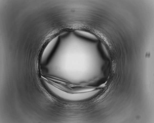 X0000098090589200805021047