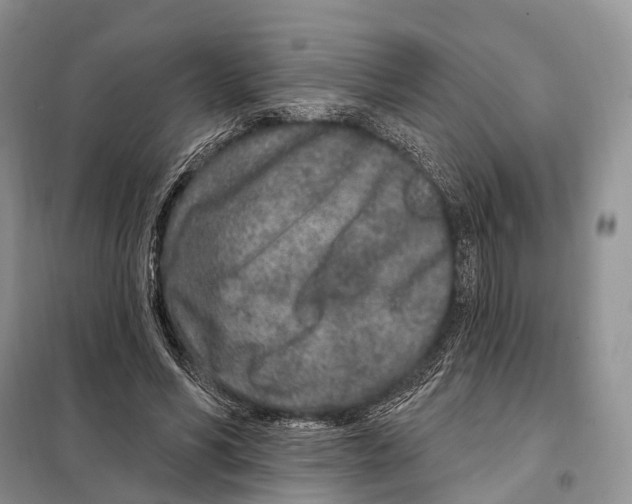 X0000098090590200805021047