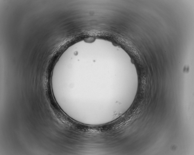 X0000098090592200805021047