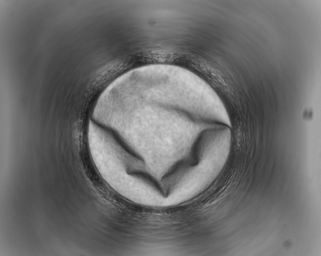 X0000098090594200805021047