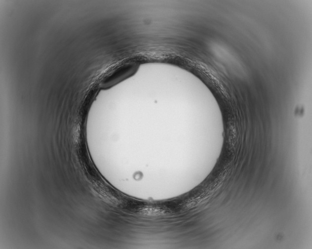 X0000098090596200805021047