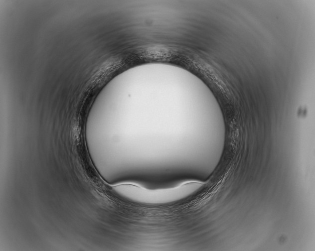 X0000098090597200805021047