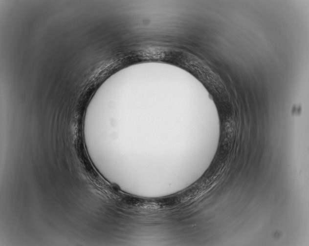 X0000098090600200805021047