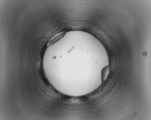 X0000098090604200805021047