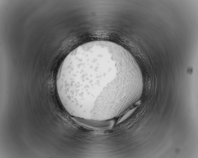 X0000098090609200805021047