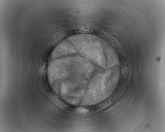 X0000098090610200805021047