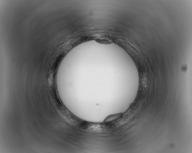 X0000098090611200805021047