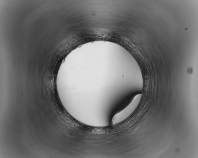 X0000098090613200805021047