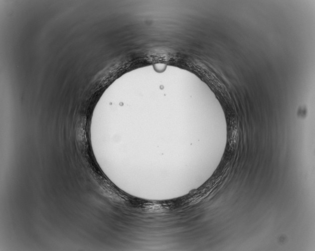 X0000098090616200805021047