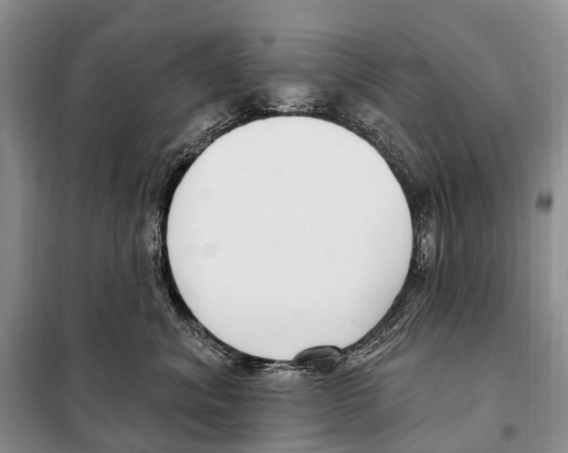 X0000098090620200805021047