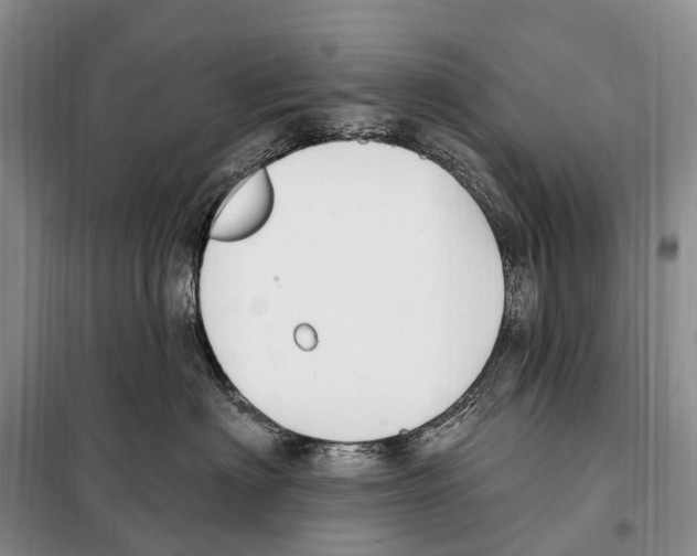 X0000098090622200805021047