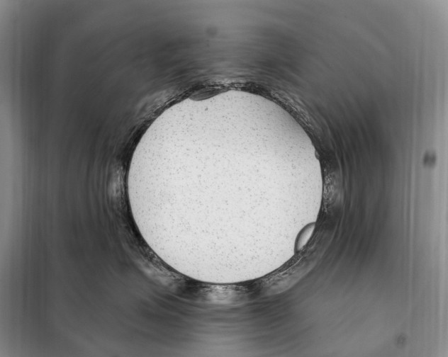 X0000098090623200805021047