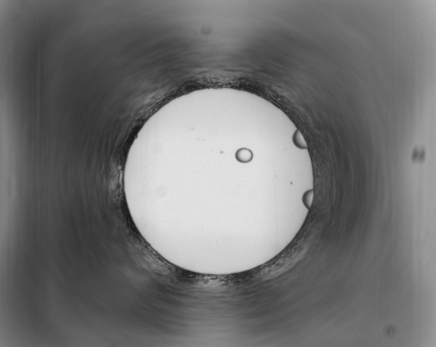 X0000098090624200805021047