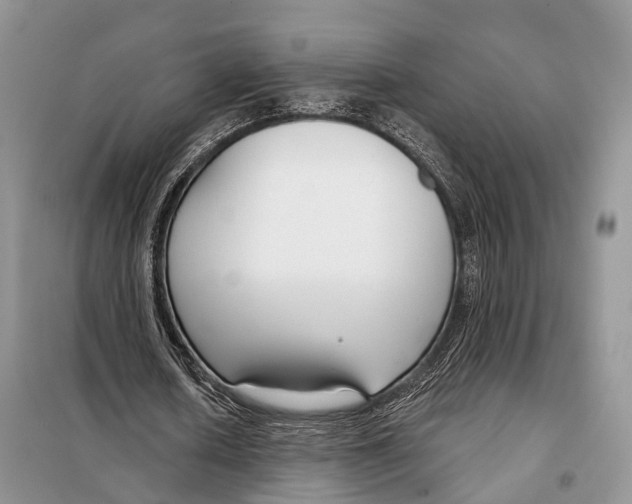 X0000098090626200805021046