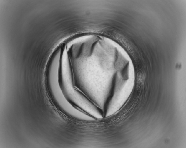 X0000098090628200805021046