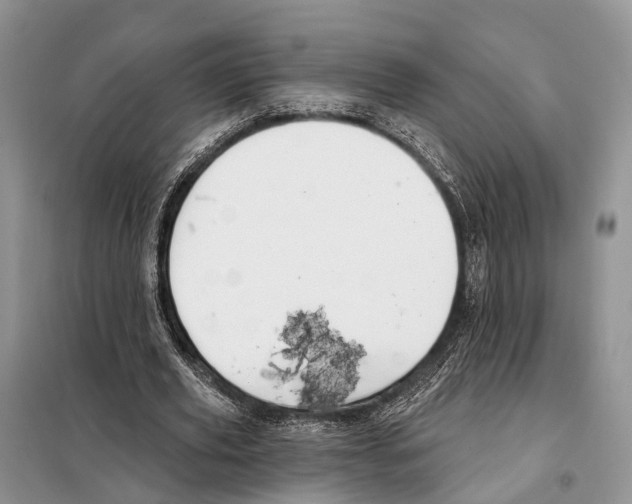 X0000098090629200805021046