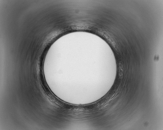 X0000098090631200805021046