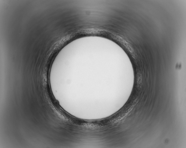 X0000098090633200805021046