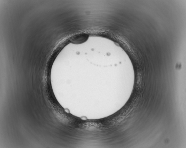 X0000098090636200805021046