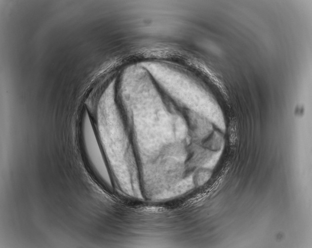 X0000098090637200805021046