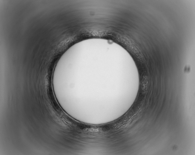 X0000098090639200805021046