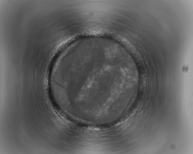 X0000098090640200805021046